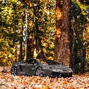 Gloss TomCat PPF 03.webp