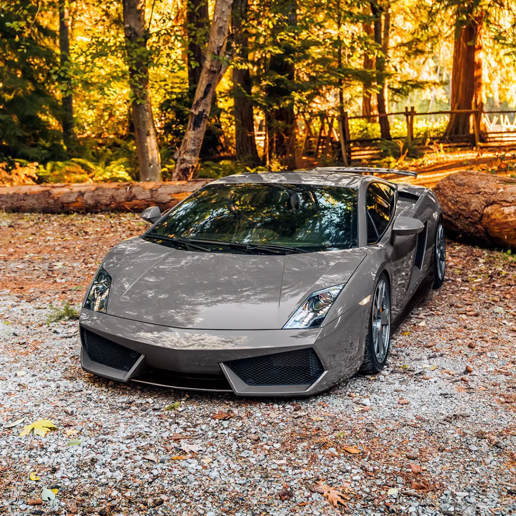 Gloss TomCat PPF 02.webp