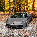 Gloss TomCat PPF 02.webp