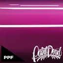 Gloss Plum Then Some - PiD PPF