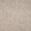 Floor Decor Stone 101